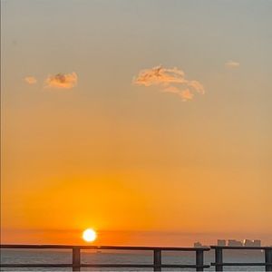 Meet your Posher, Luna